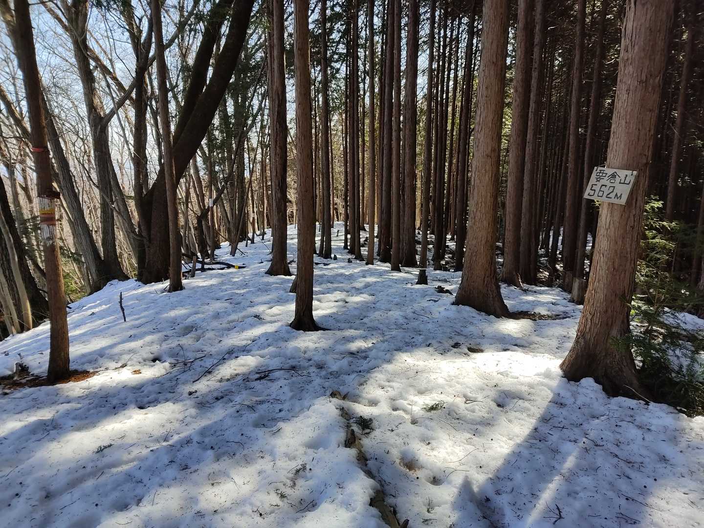 要倉山到着
山頂はこんな感じ