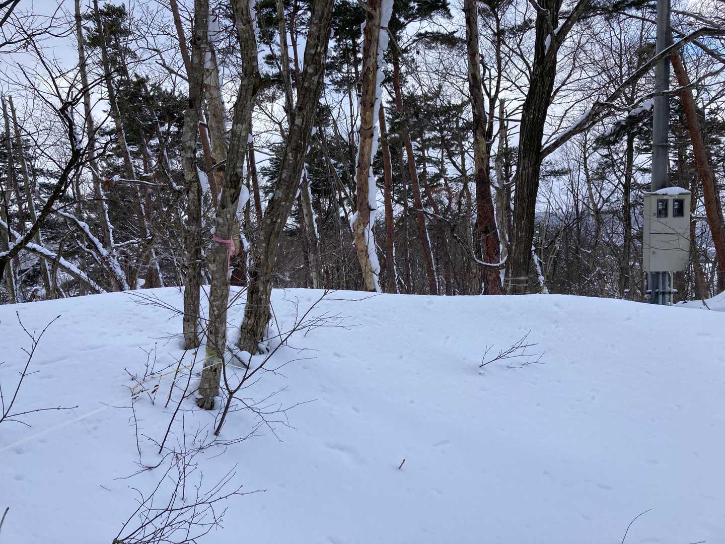 眺山山頂🏔
ピンテ🎀が山頂表示ですね😃