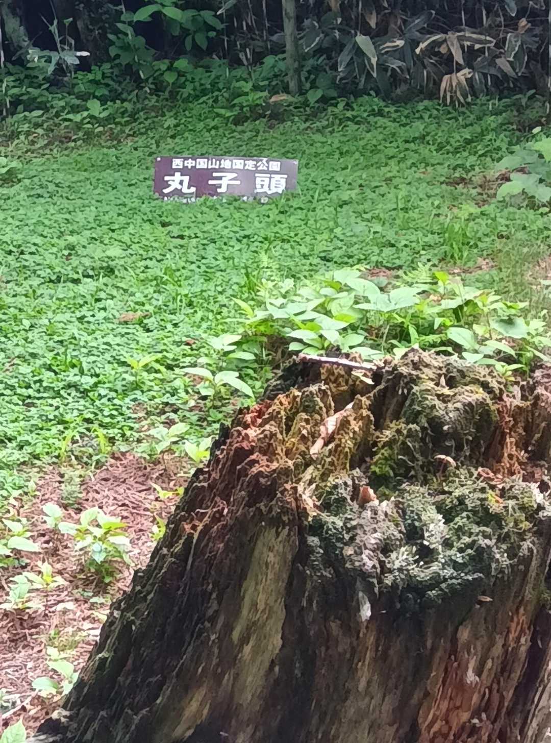 6年ぶりの十方山とその周辺を周回🗽 / pinpon55の登山データ | YAMAP
