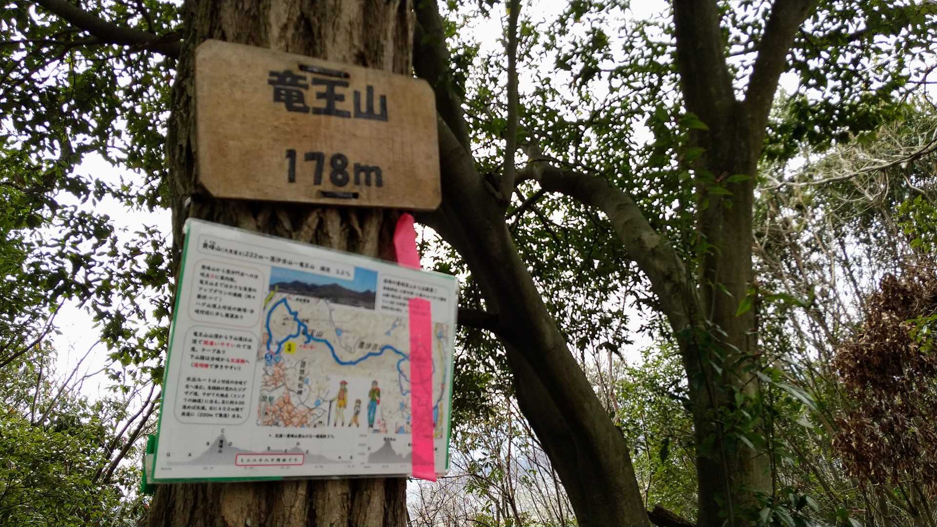 竜王山。

この山頂の先には