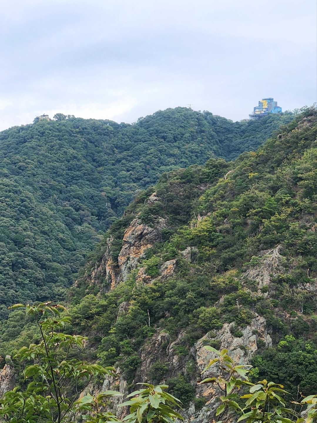 二郎系🍜再チャレ😤ｰ金華山🏯周辺(2026.10.4) / K1KMの登山データ