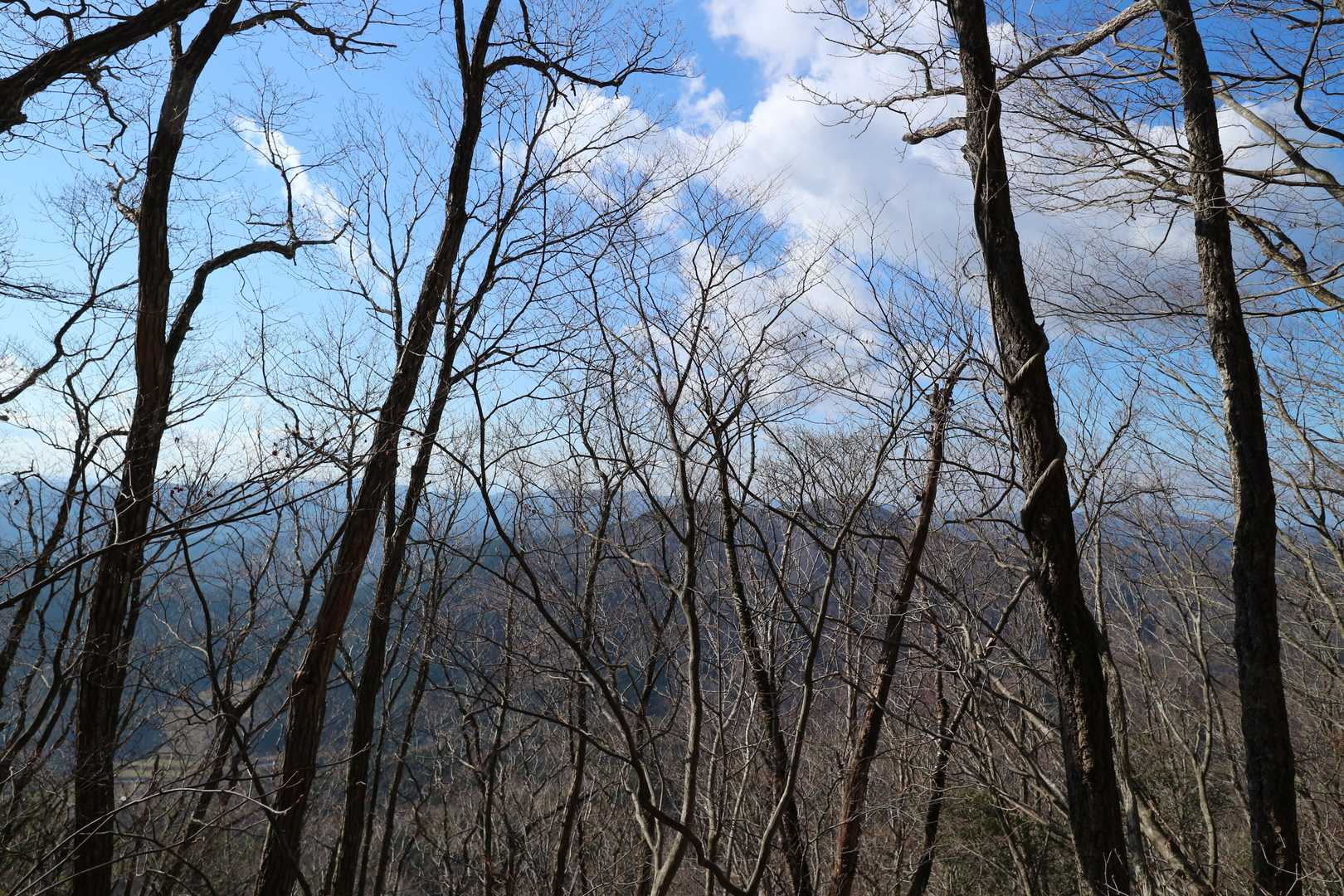 下山します🎵
眺望はこんな感じでした😂