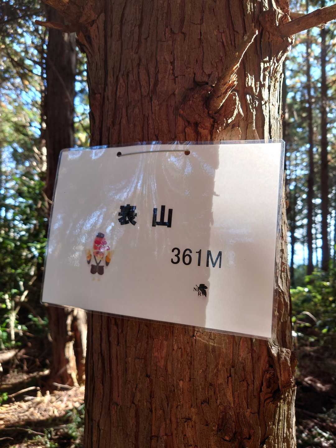 新たな標識になりました✨