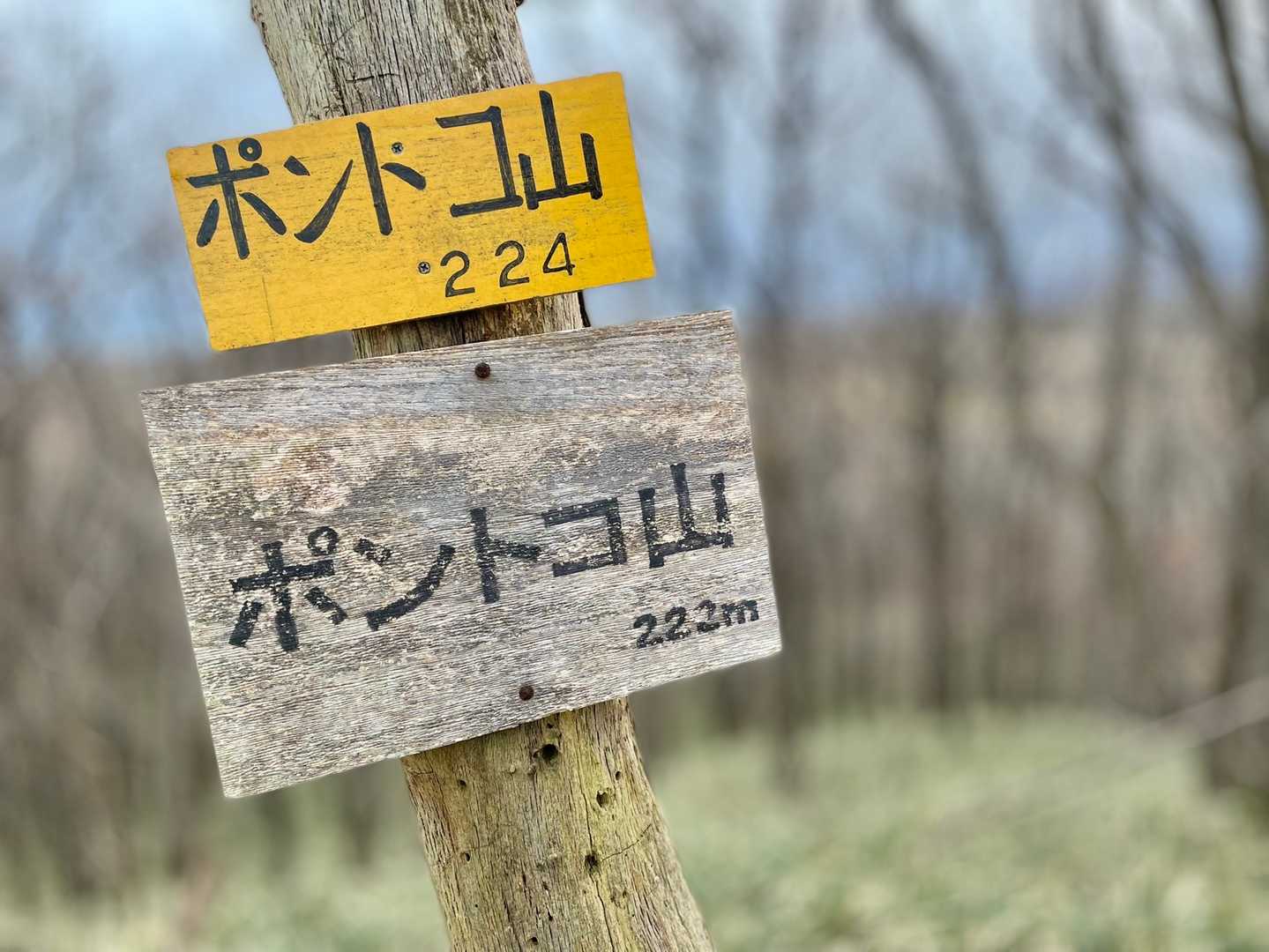 ん？高さが違う😅