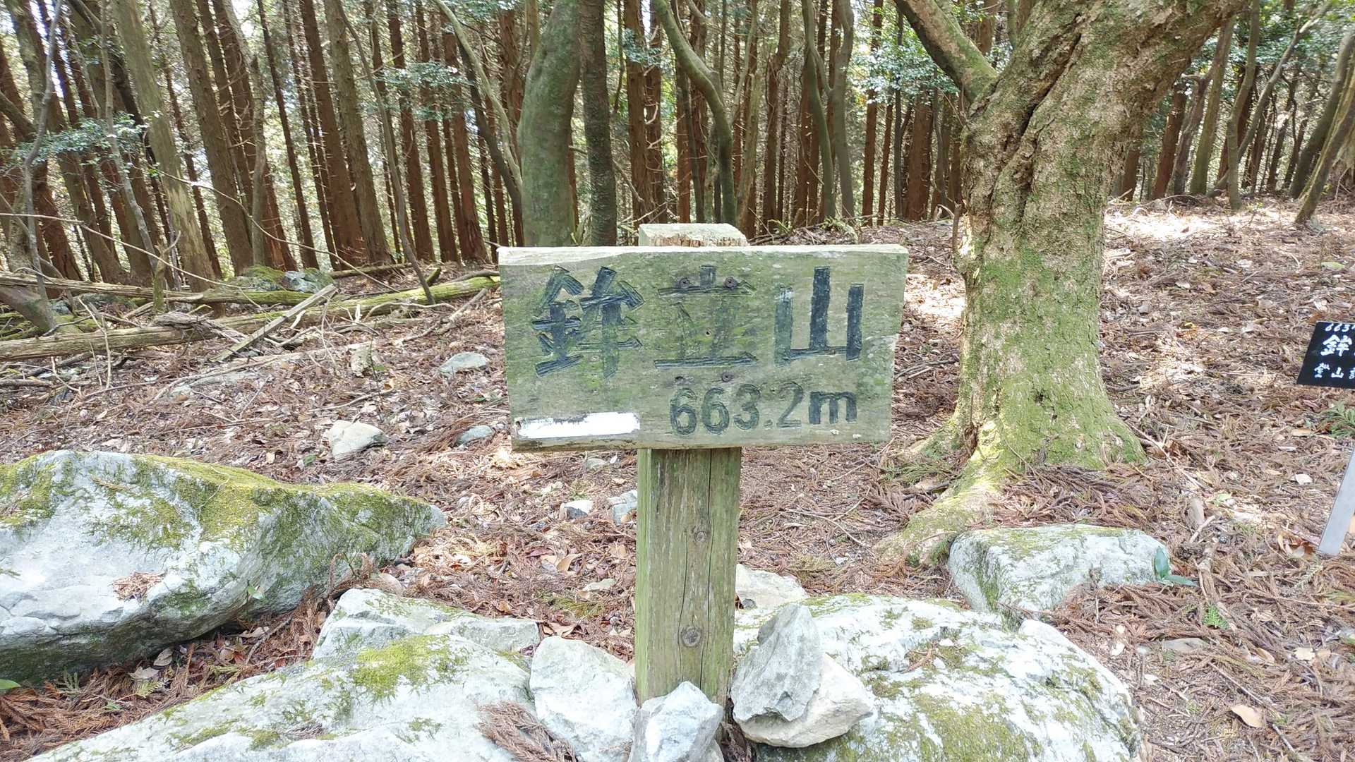 着きました、2座目、ここも展望無し！