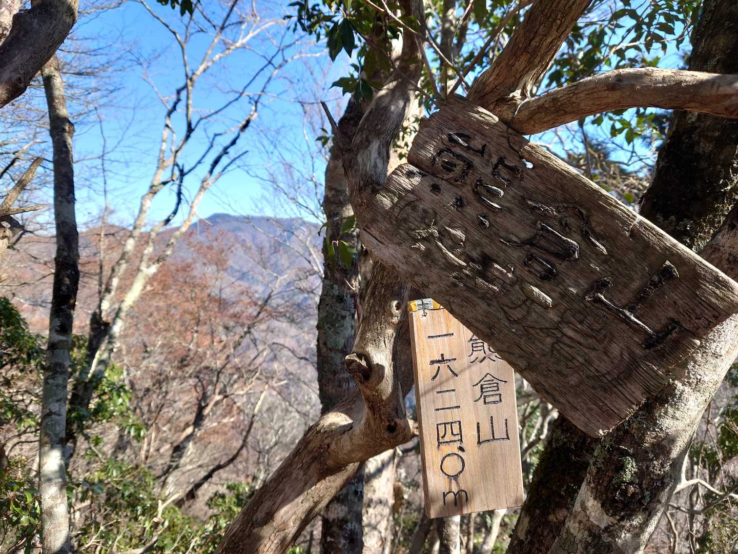 熊倉山
ここまではなんとか足は動く
今までテン泊装備で望んだのはワンピークのみだった
わたしにも重い装備で縦走することができるのか、わたしにできること、合うもの、方向性やいかに…
今回の隠れ課題だったりする