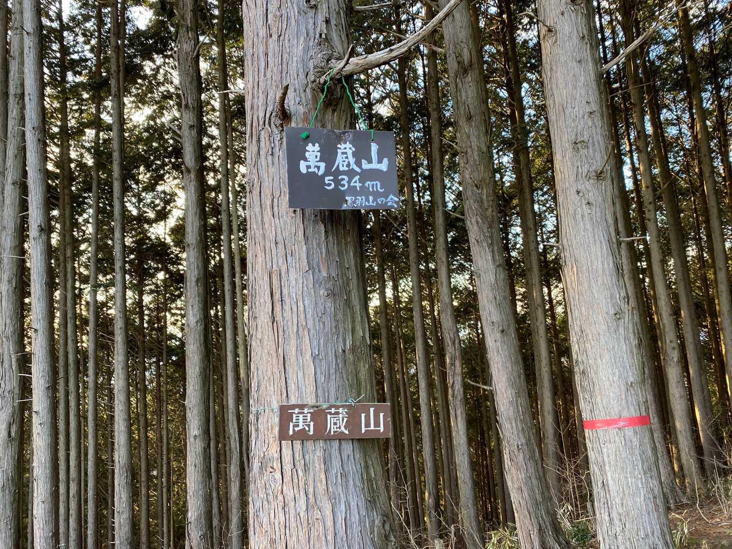 萬蔵山到着
まんぞうさん