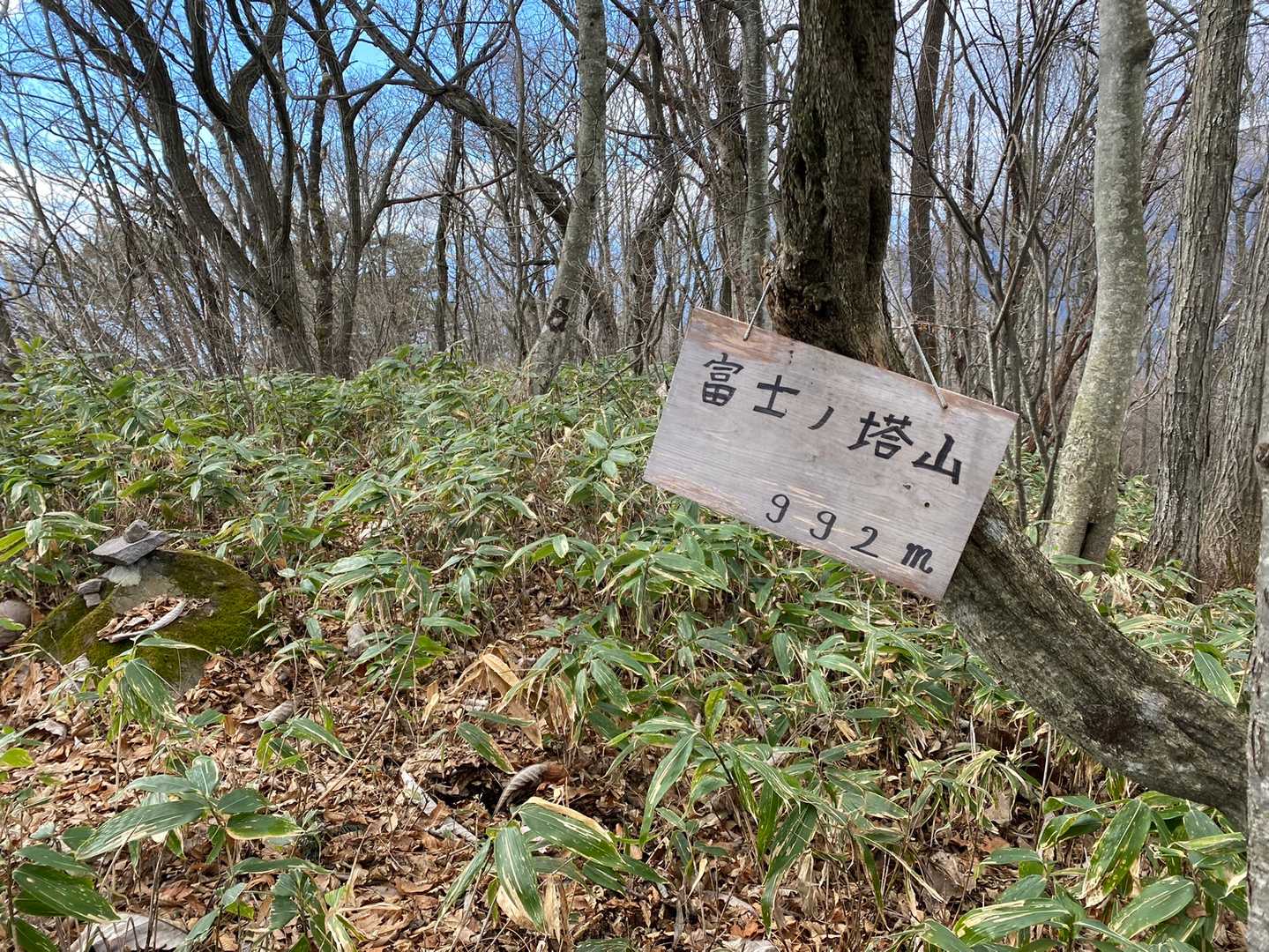 山頂に到着しました。