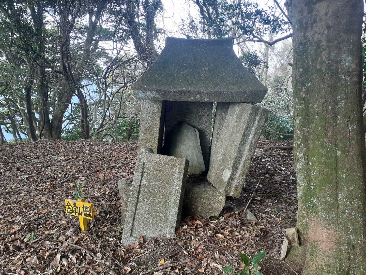 金峰山に…