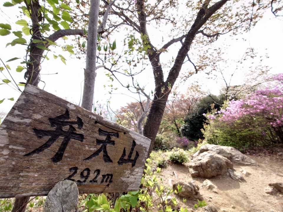 じわりと登ってきました
