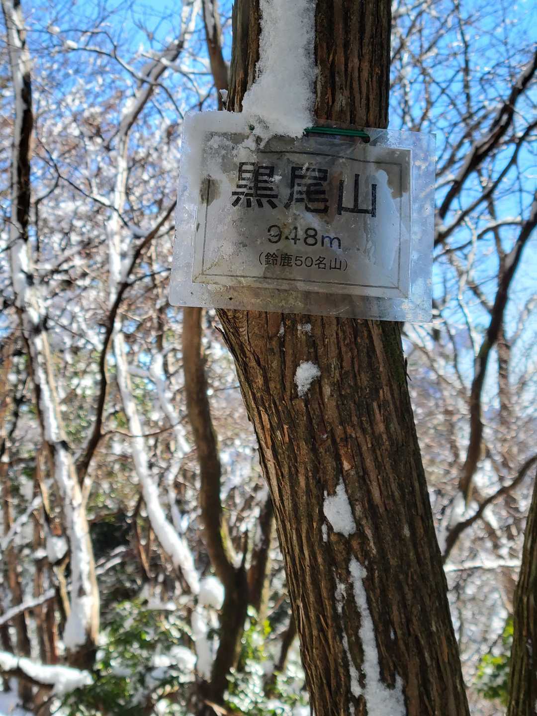 黒尾山948m登頂～🙆