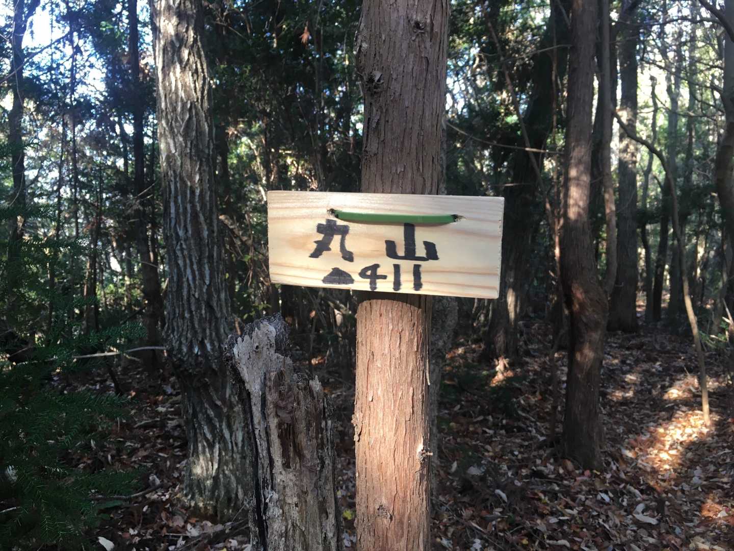 可愛い看板。