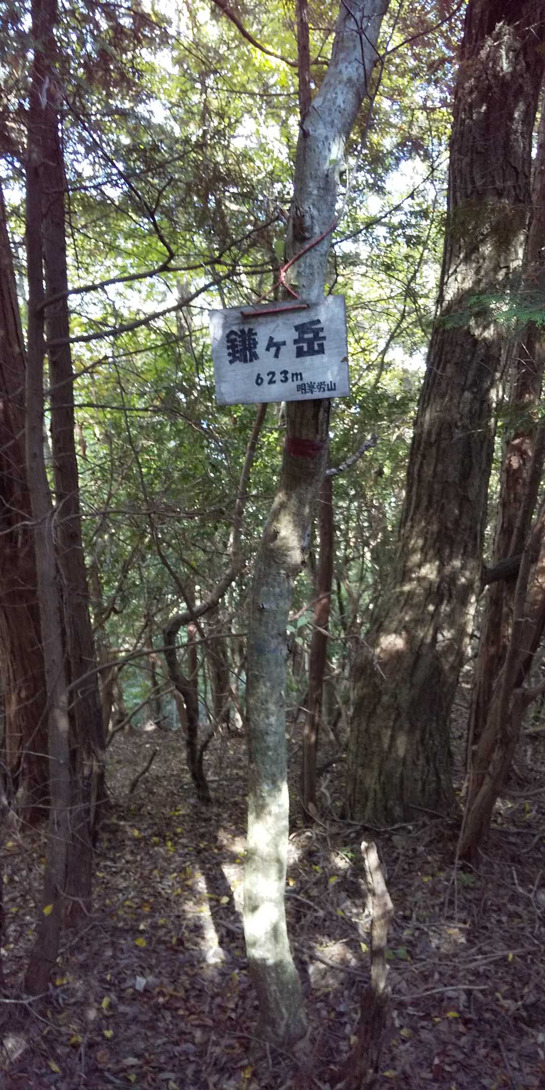 同じく。