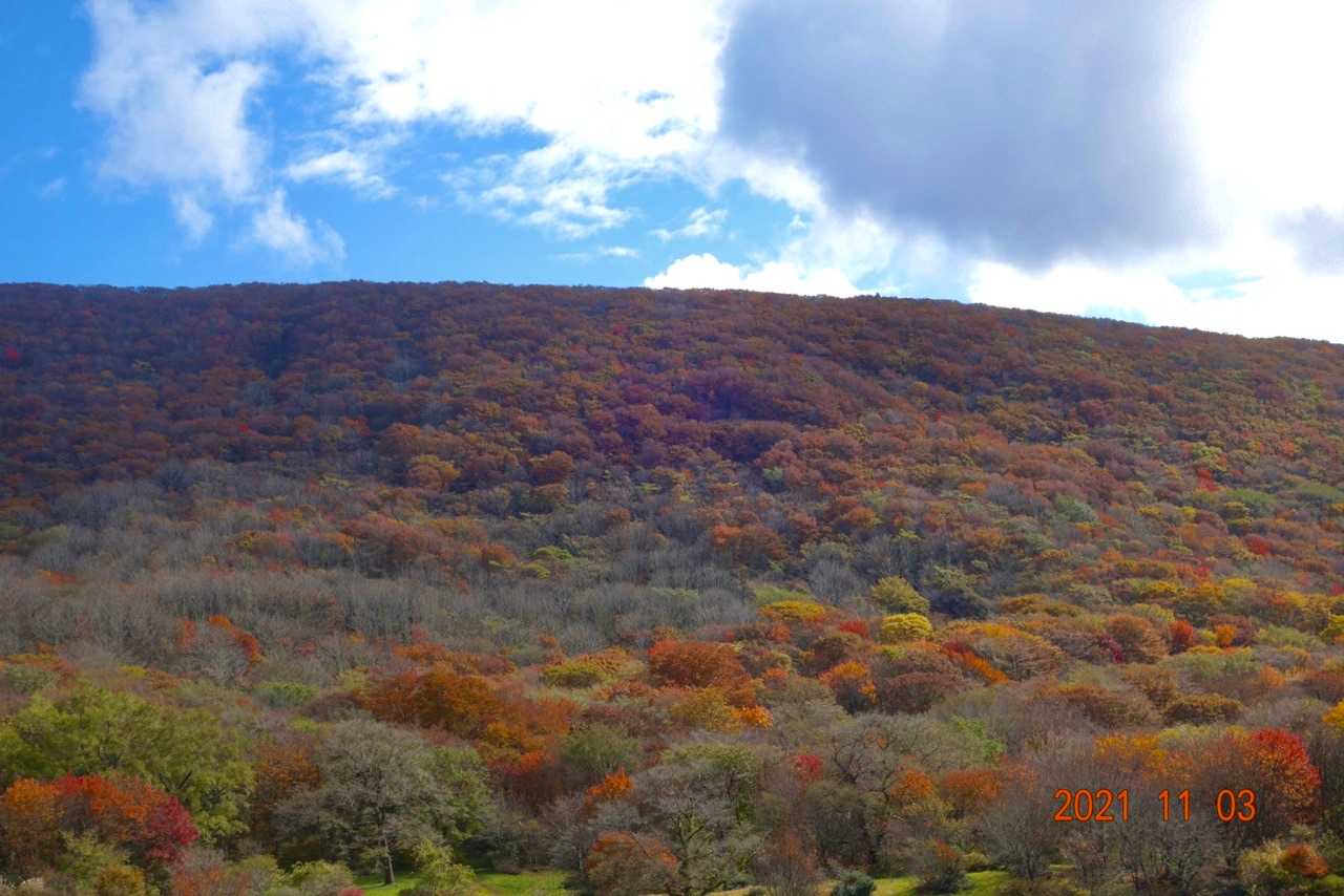 吾妻山 往復コースの写真