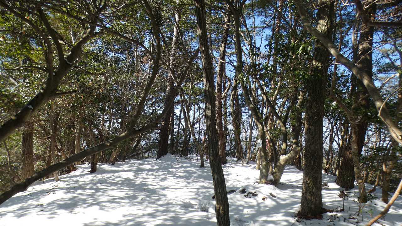 山頂