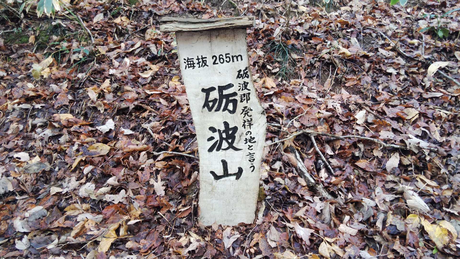 砺波山の写真