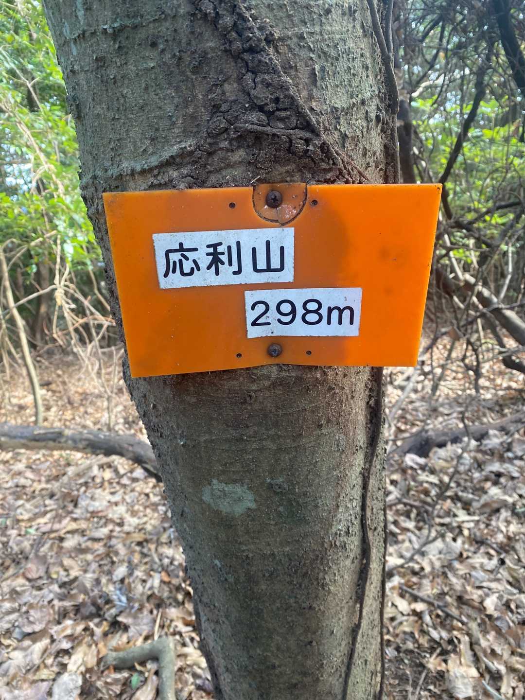 山頂標識😍