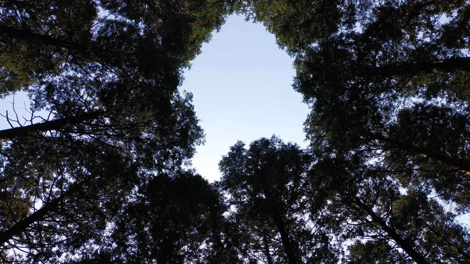 山頂標識の真上にぽっかり、春の空