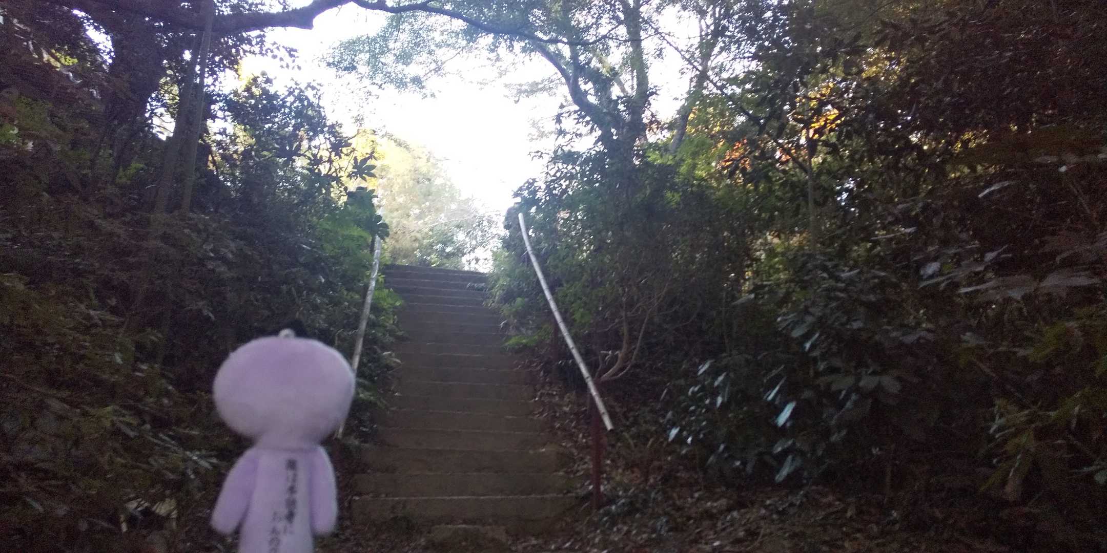 (;´Д`)ﾊｧﾊｧ…

山頂だ！