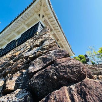 金華山・鷹巣山・鷹巣御前・洞山・野一色権現山 / ヨッシーの登山