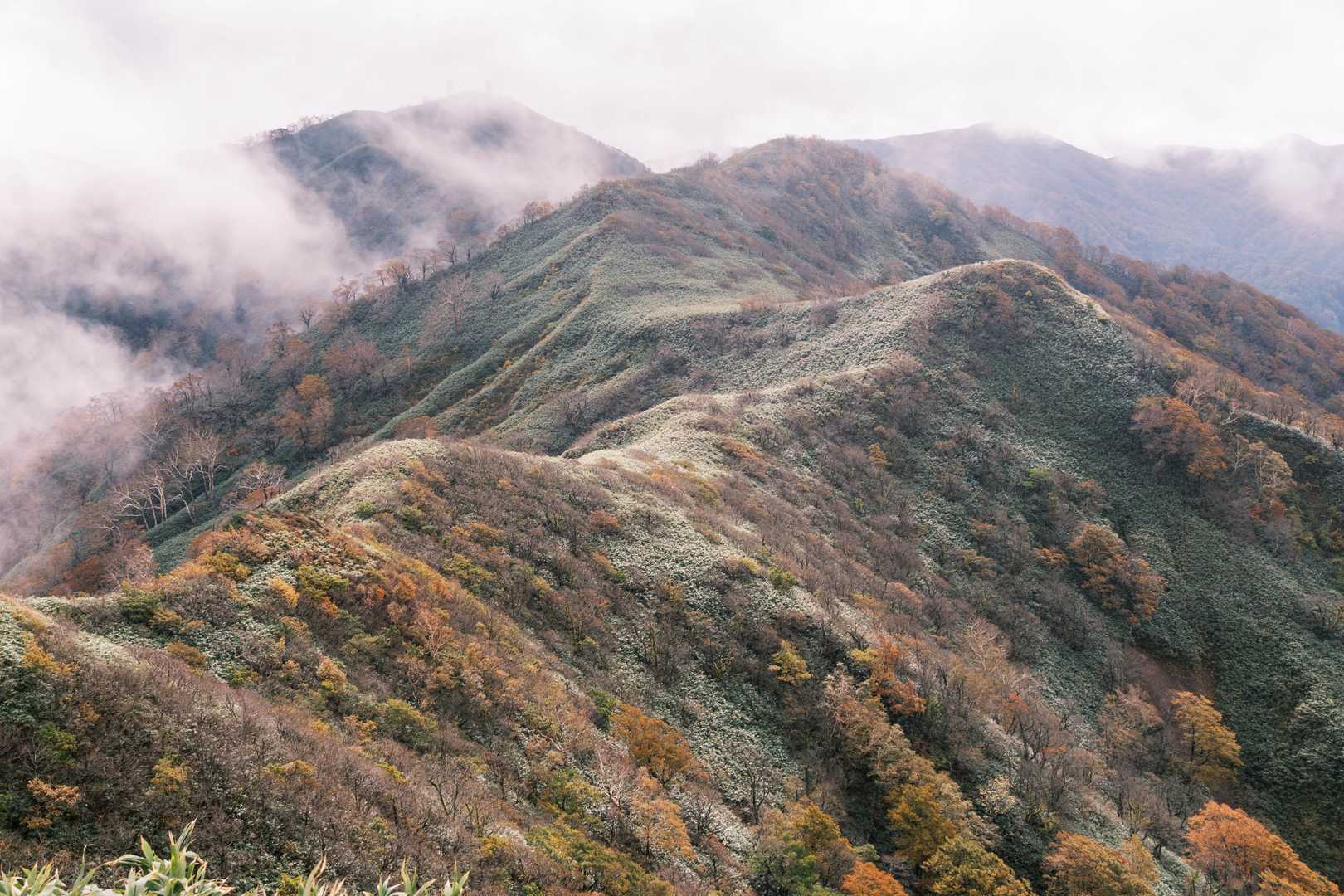地森に続く尾根も綺麗に紅葉してました🍁