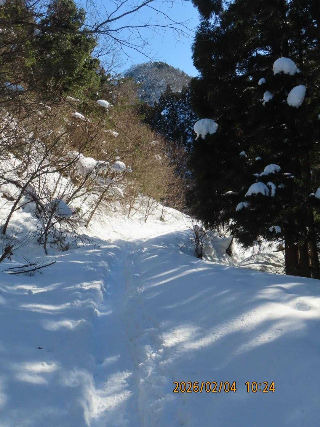 久しぶりの晴れ☀️マークで駐車場賑やか満車状態尖山 / としちゃん