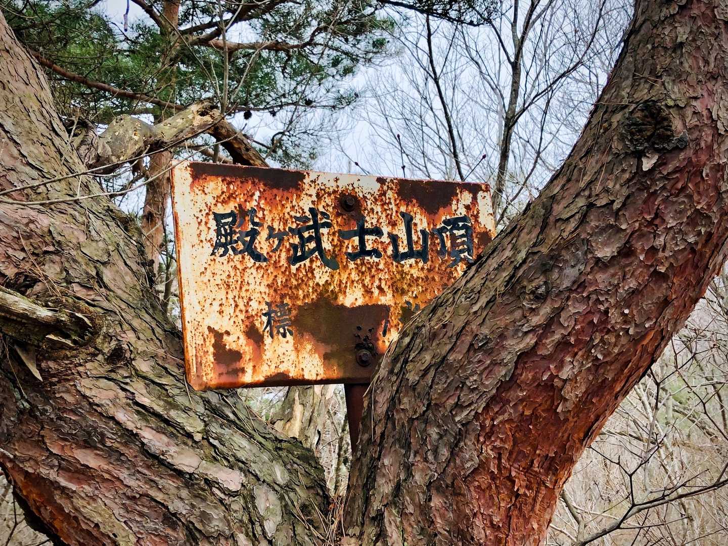次の山のピークはすぐお隣にありました。