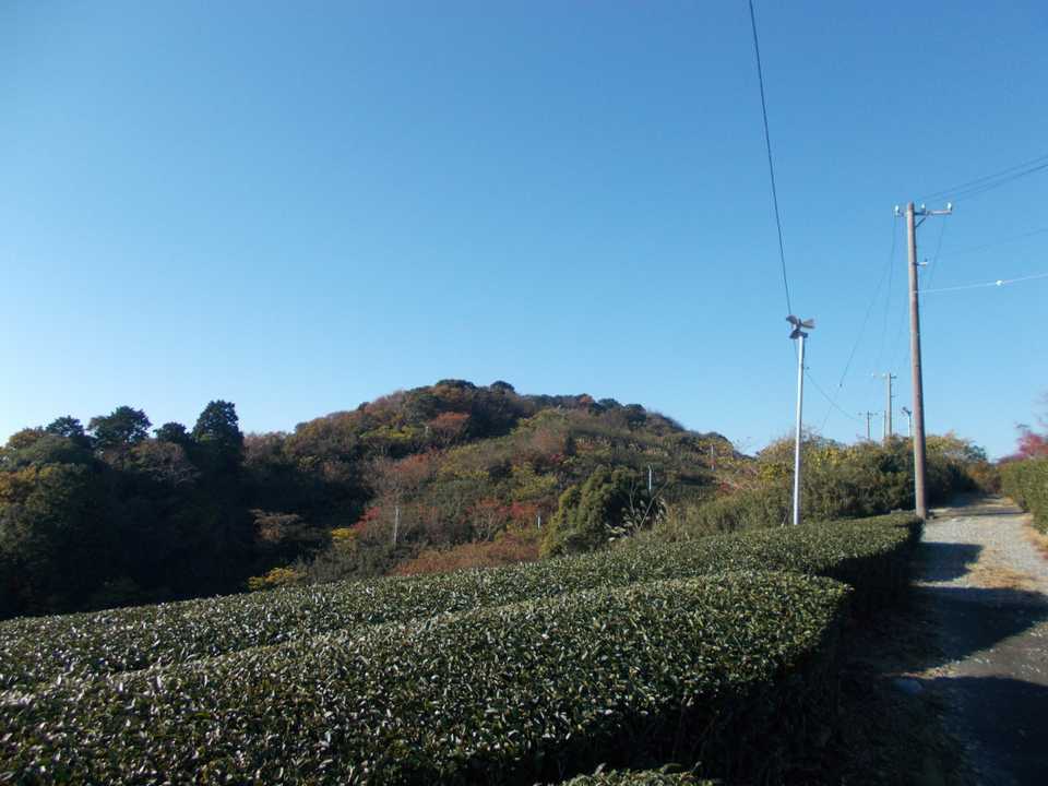 まもなく茶畑に出て、振り返ると高根山。