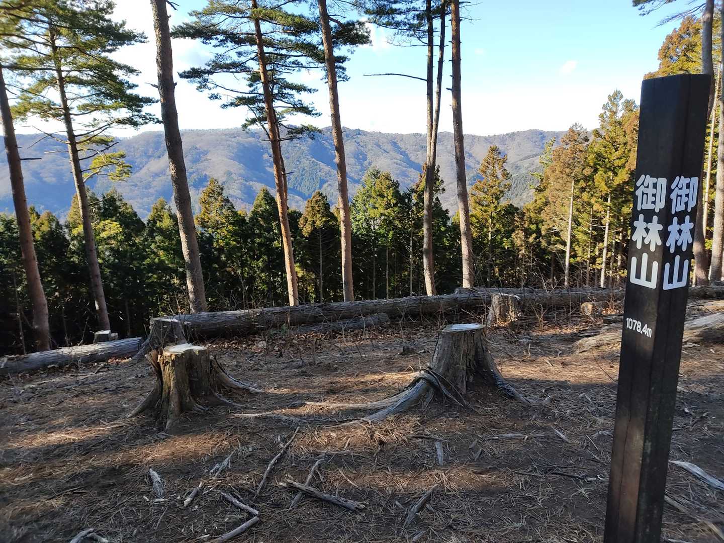 御林山に着きます