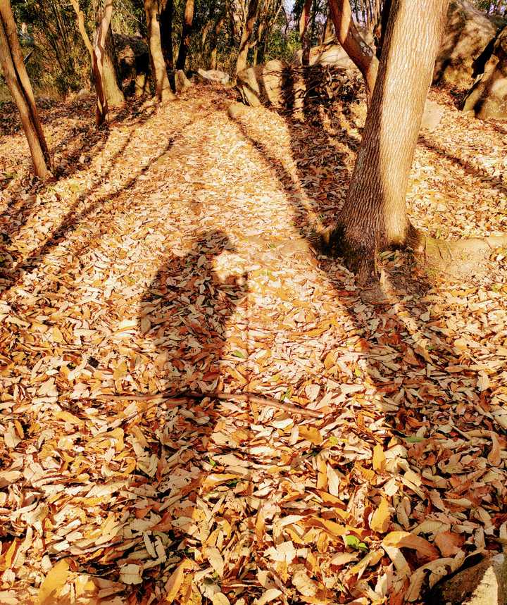 笠井山山頂
だいぶ日が落ちてきてるけど
陰も楽しんで
