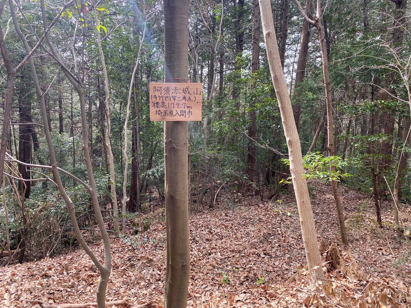 一応　阿須赤城山を通ります