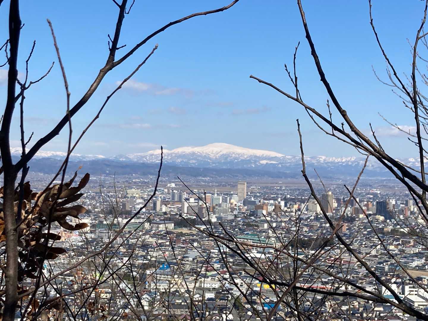 枝の隙間から月山🏔を望めます😲