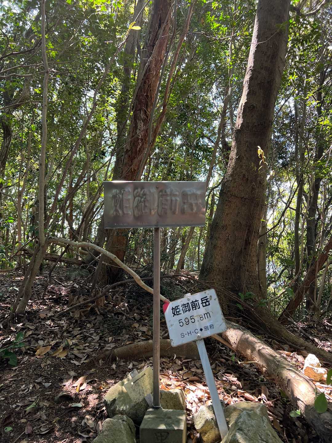 山頂　眺望無し