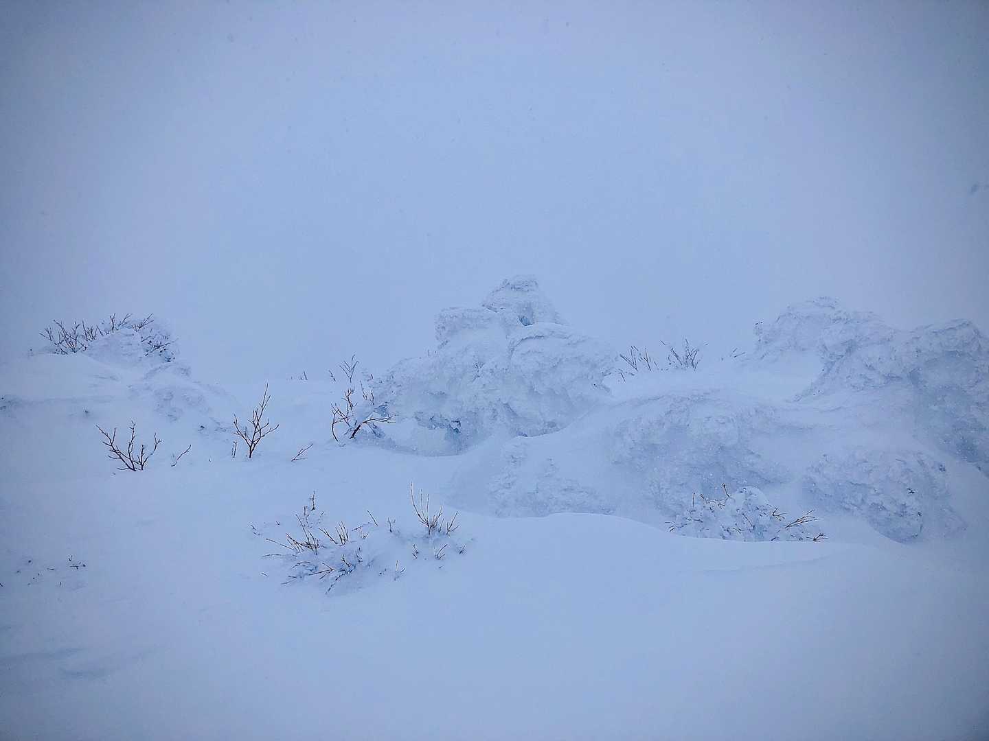 どこが山頂なのか分かりませんでしたが、なんとか登頂出来ました。