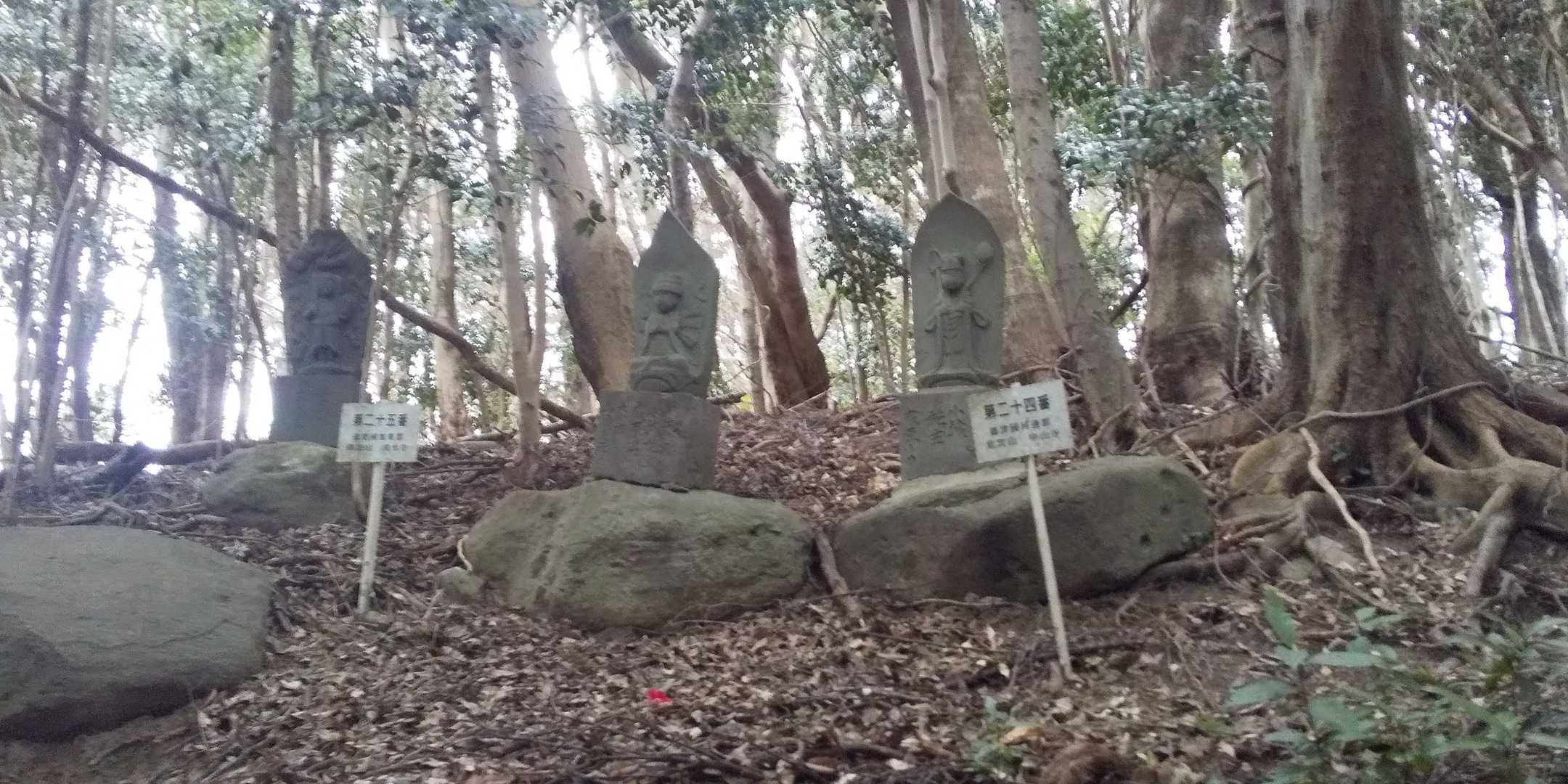 31体ある如来像に導かれながら下山します。