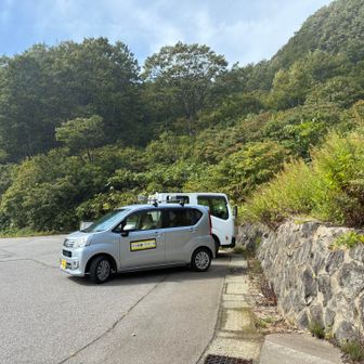 小熊が２頭目撃されたんだって🐻🐻
時間と場所的にさっき聞いた猫みたいな鳴き声は熊だったと判明😱