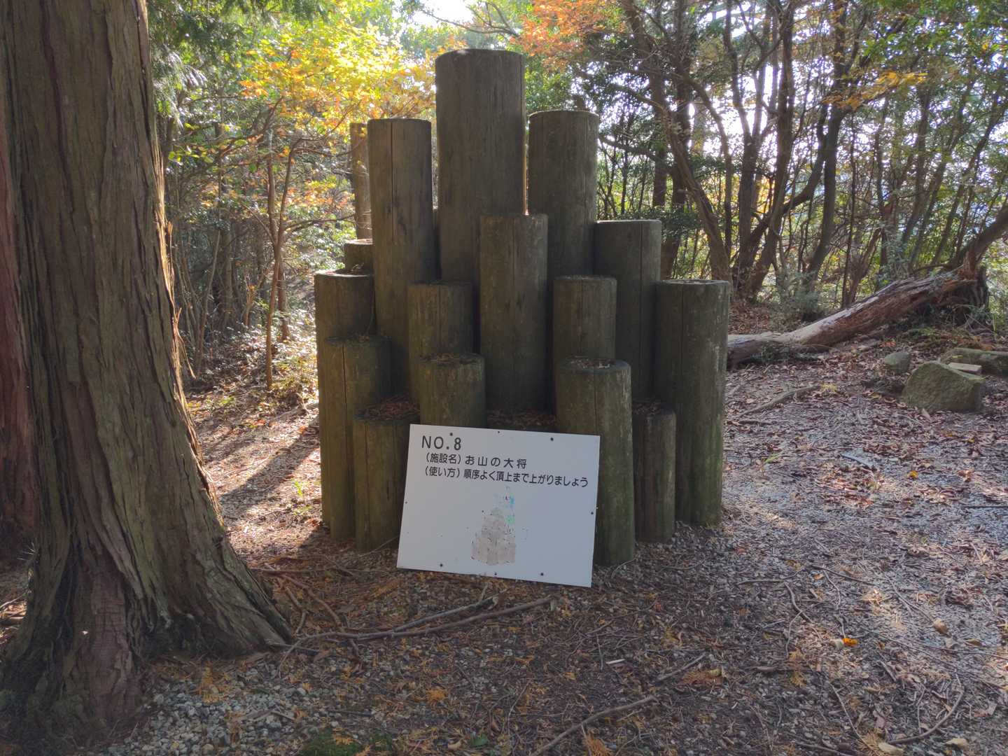 「お山の大将」の横に、山頂三角点があります。