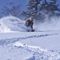 winteroptix