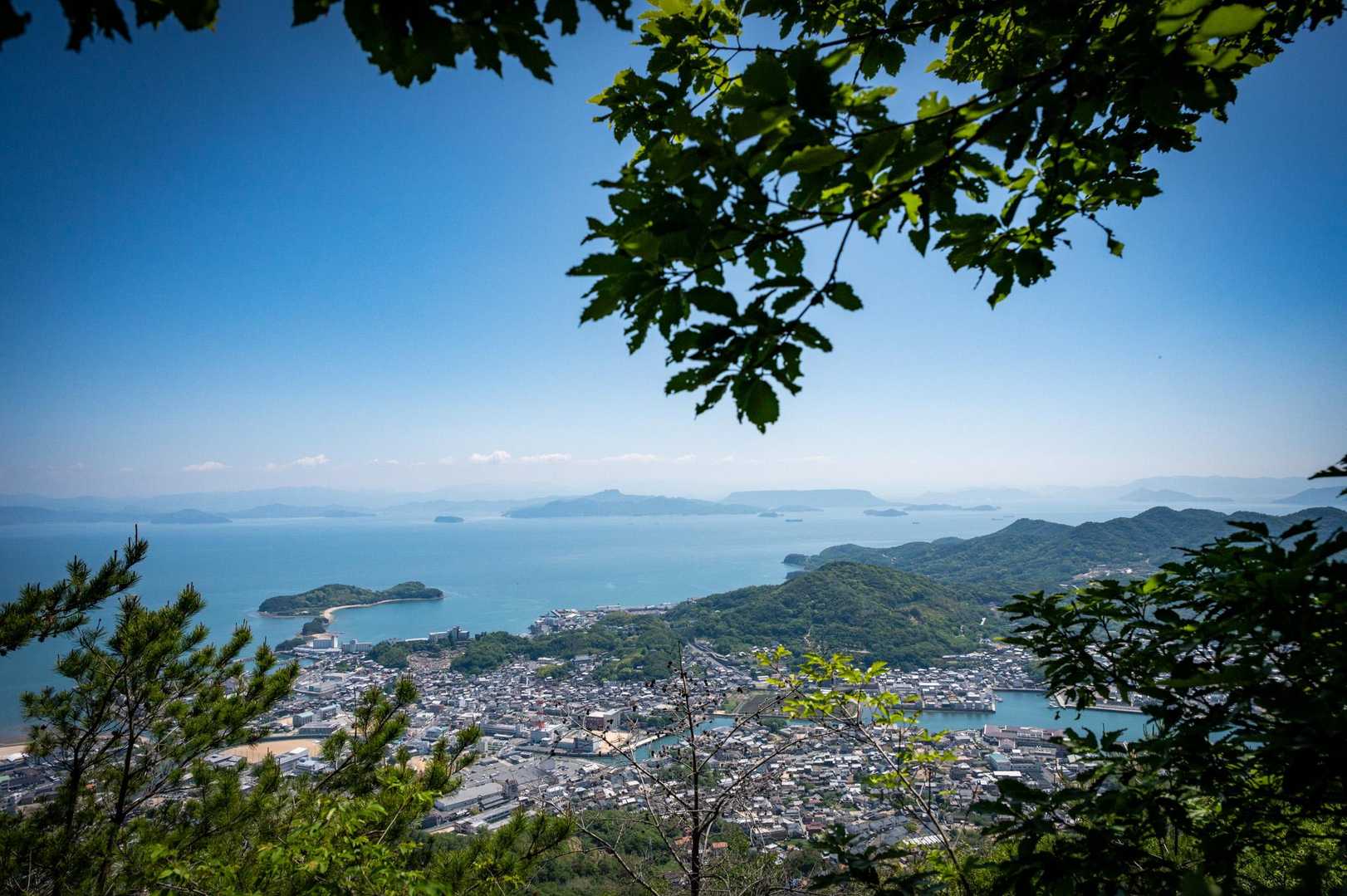 しま山100撰】【皇踏山】 直登の末の絶景！ 下山は蜘蛛の巣格闘戦