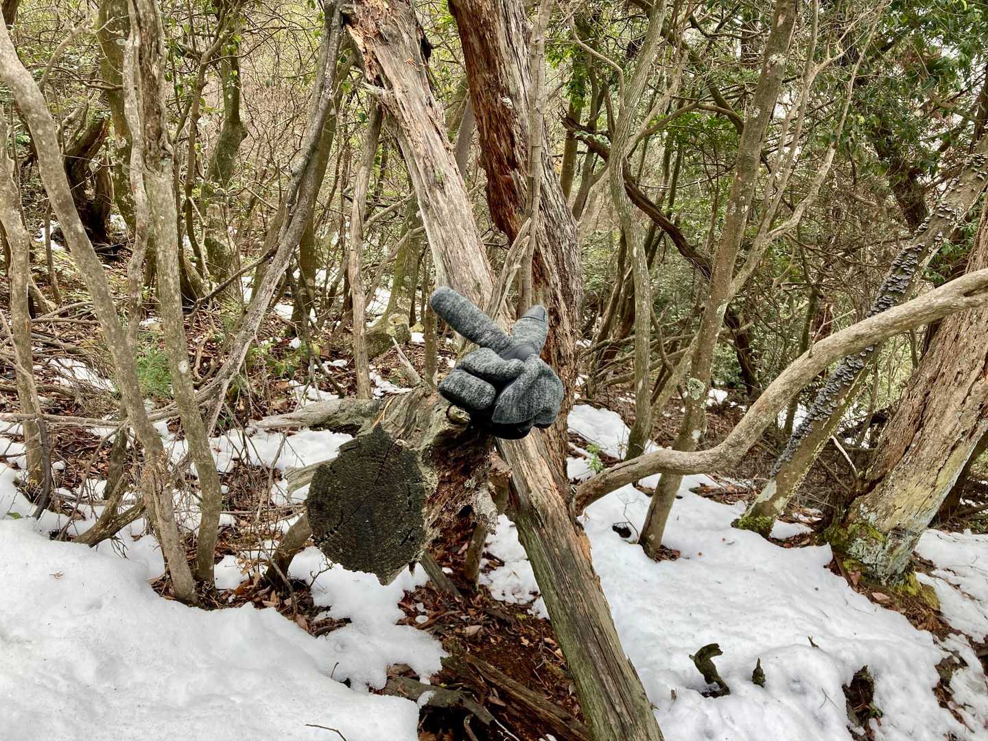 発見～。
しかもVサインしてる～。

拾ってくださった方、有難う御座います。
遊び心ある方ですね。

年末年始をこの状態で過ごしていたのかと思うと、申し訳ないです。寒かったやろうな。
帰ったら洗ってヒーターの前で温めてあげるね。