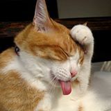 かおりんにゃ〜ん