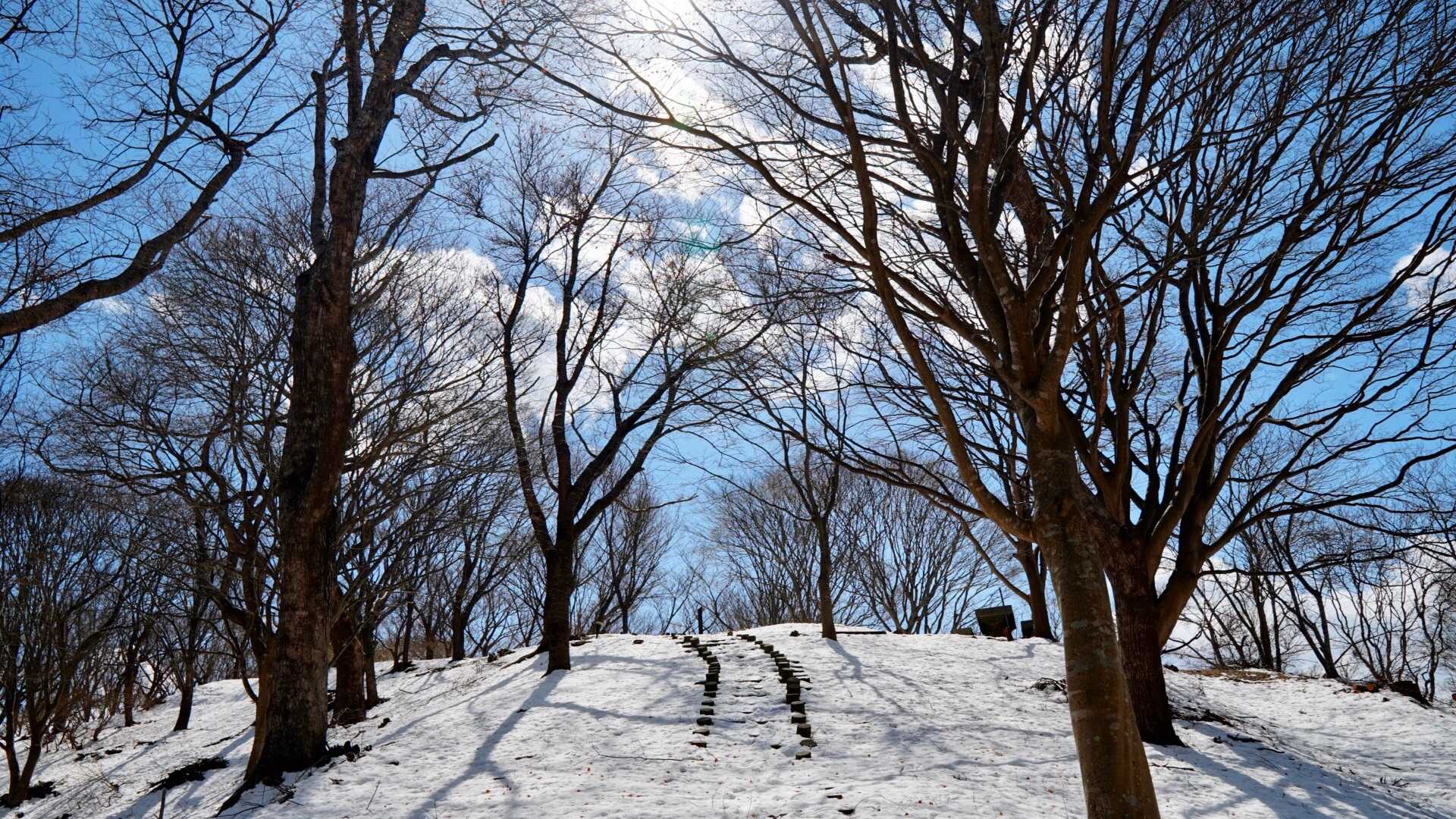 山頂は気持ちいい空
