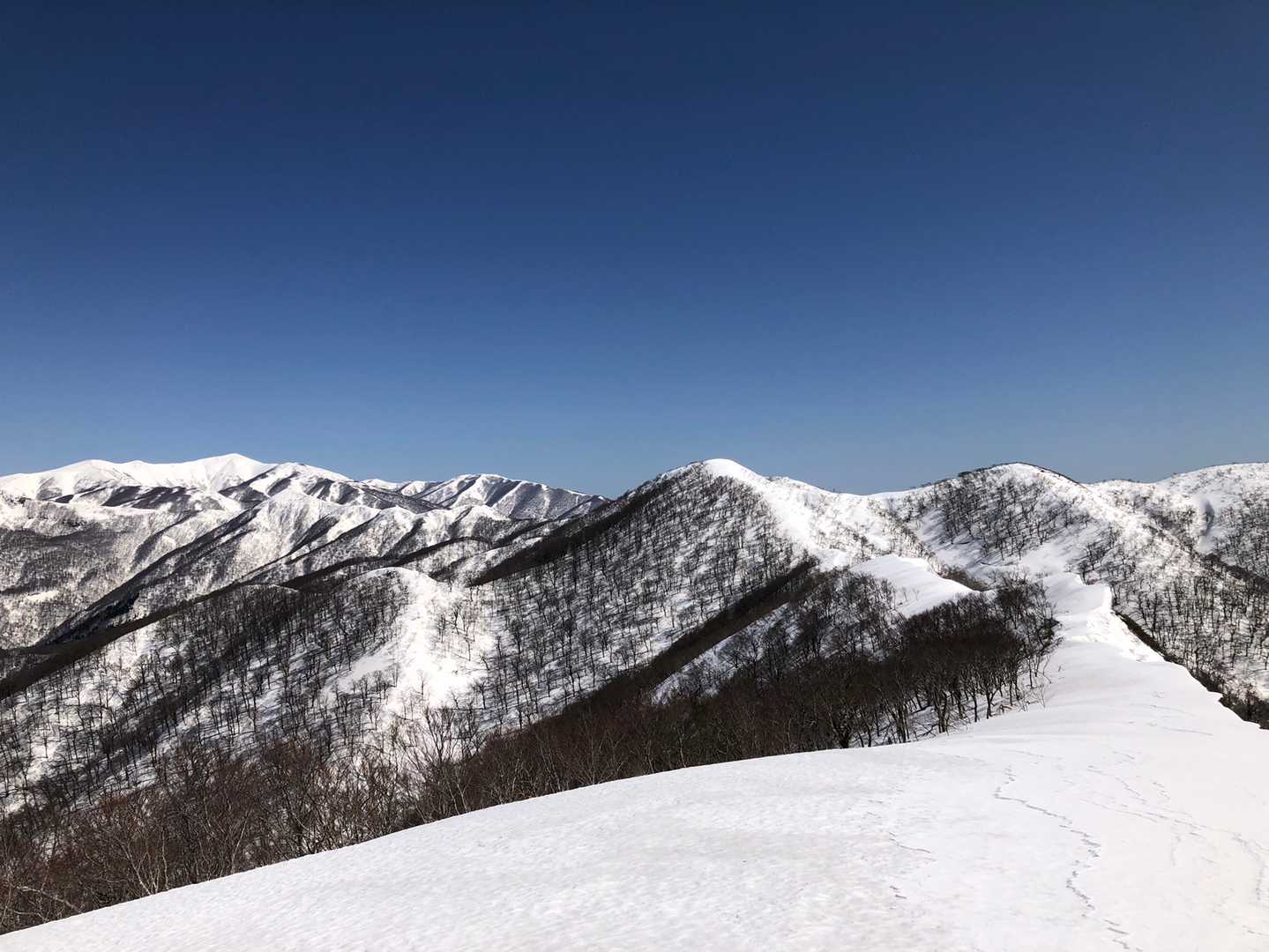 秘峰・青シカ山頂着👍
本で見て憧れ続けた稜線が眼前に広がる感動！😭