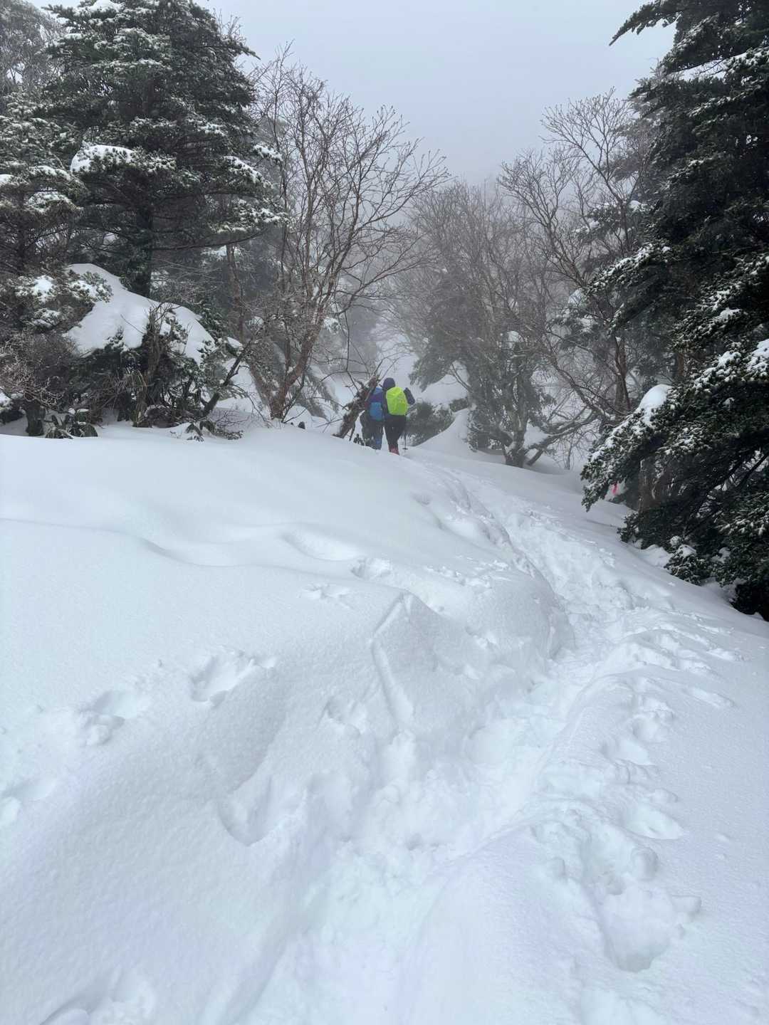 石鎚山（夜明峠のちょっと向こうまで） / MA_Uさんの石鎚山・堂ヶ森