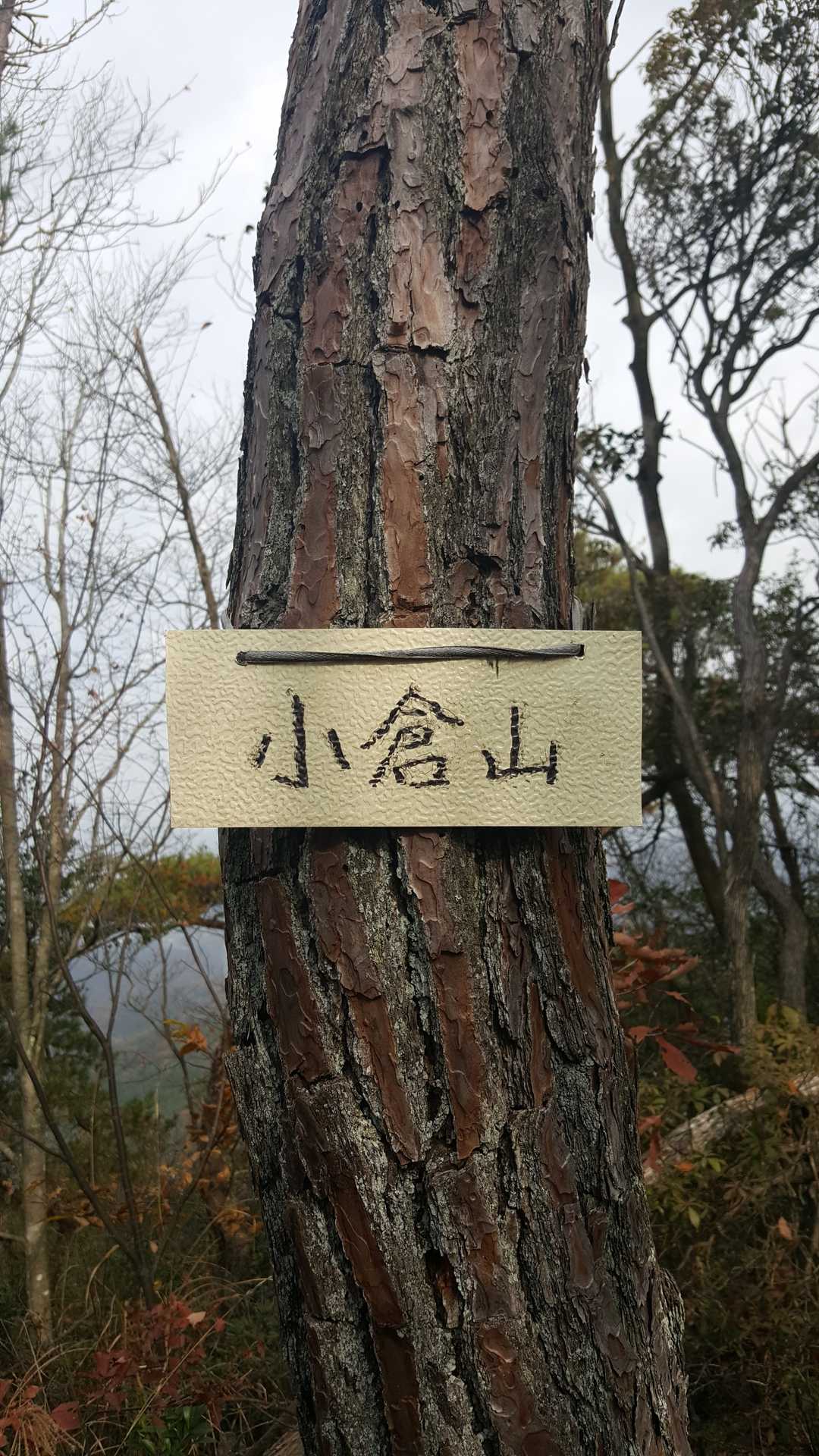 小倉山山頂。ここからが岩場の試練でした