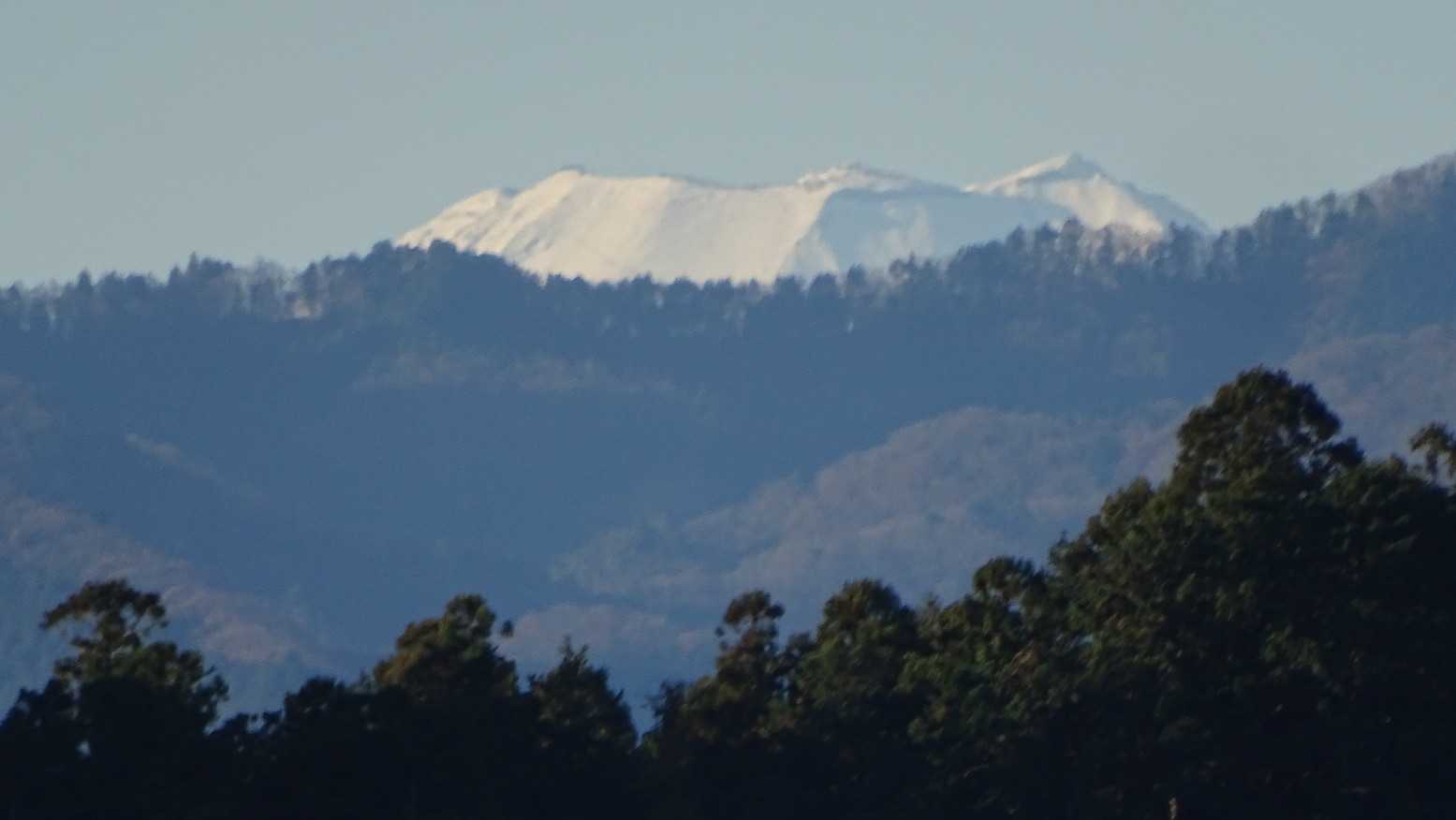🗻富士子ちゃんの頭がちょこっと見えた👀