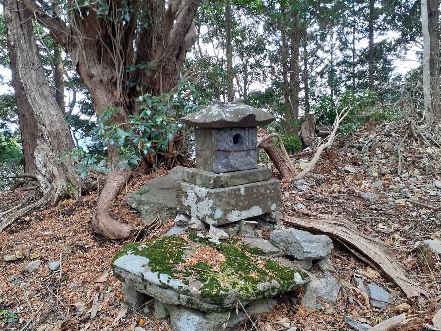 石祠の鎮座する頂に到着
