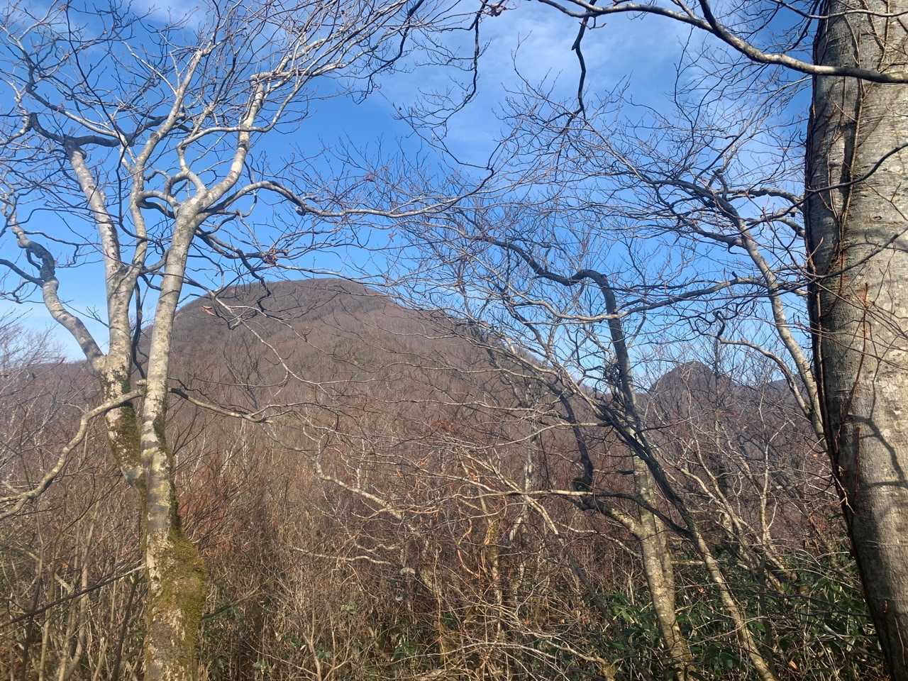 あれが白髭山ですね！
せっかくなので後30分頑張ることに💪
皆さんの投稿で"白髭山"は展望がいいとのこと
楽しみです🍀
なんかアップダウンが癖になってきたかも…😙