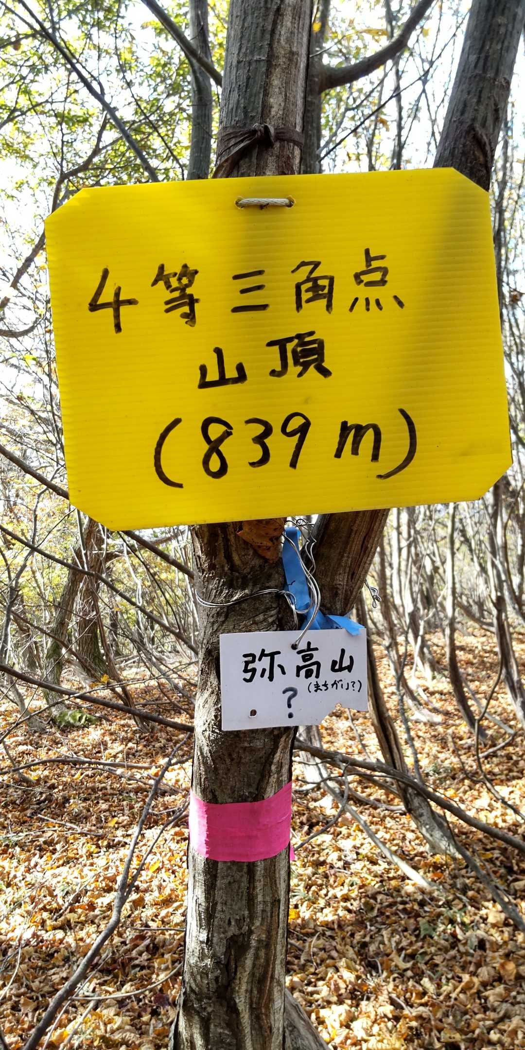 「？」がついてる山  初めてみた😂
