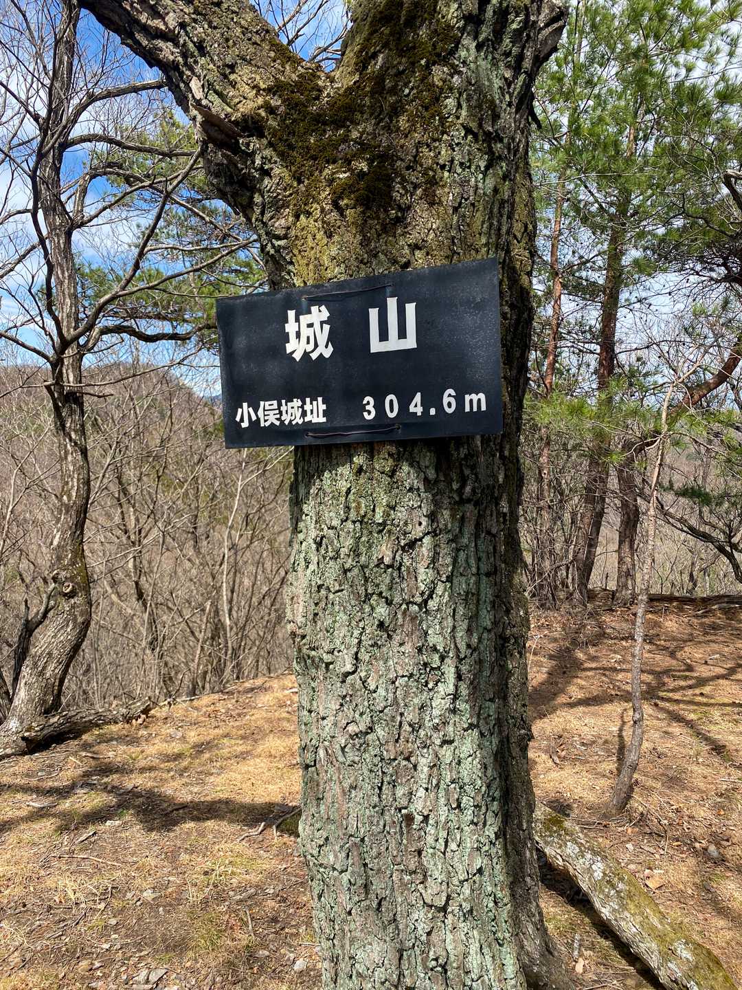 城山でお昼休憩